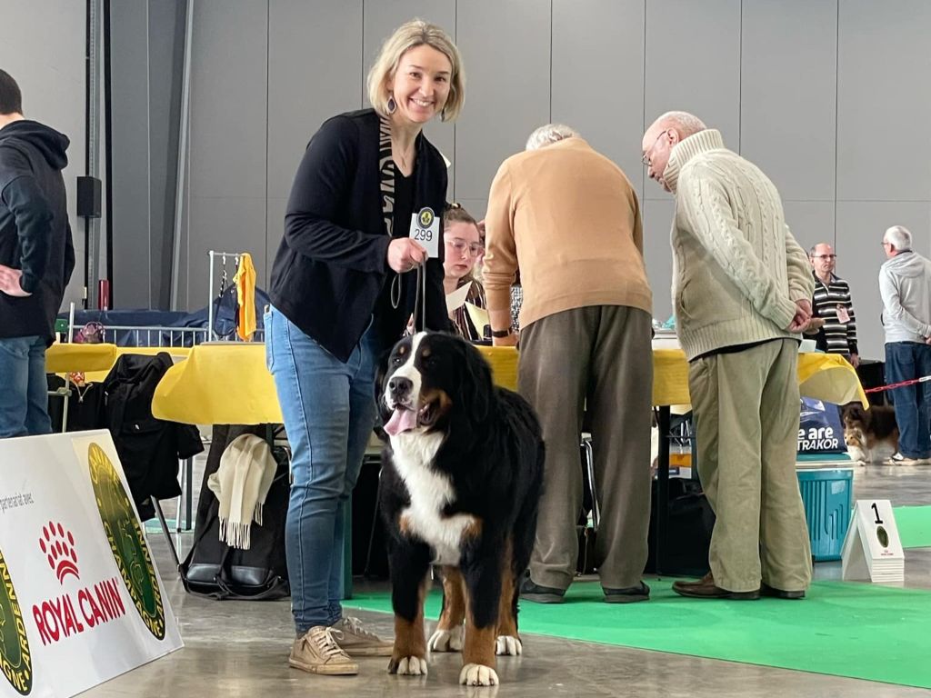 La vallée de l'echiquier - Résultats exposition Châlons 