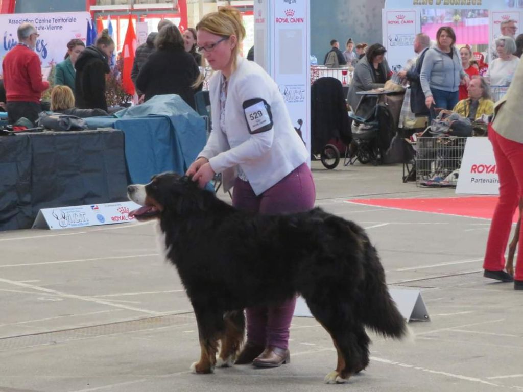 La vallée de l'echiquier - Résultat de l expo de Limoges