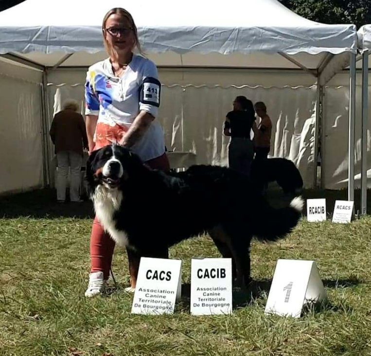 La vallée de l'echiquier - Résultats exposition  internationale de Dijon