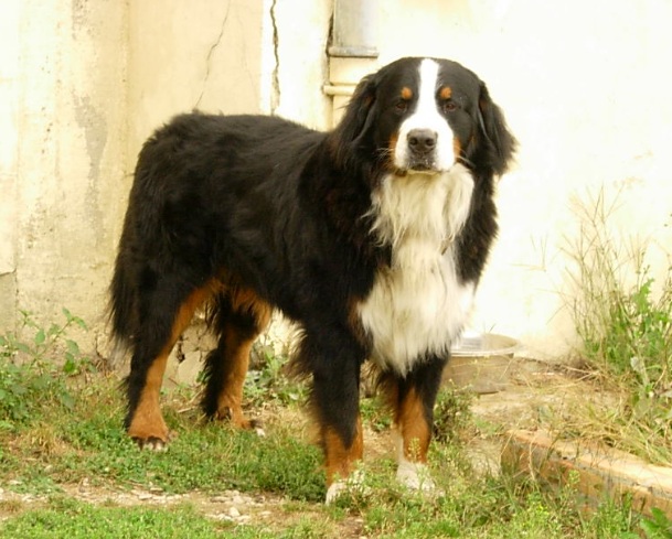 Farmer de La vallée de l'echiquier