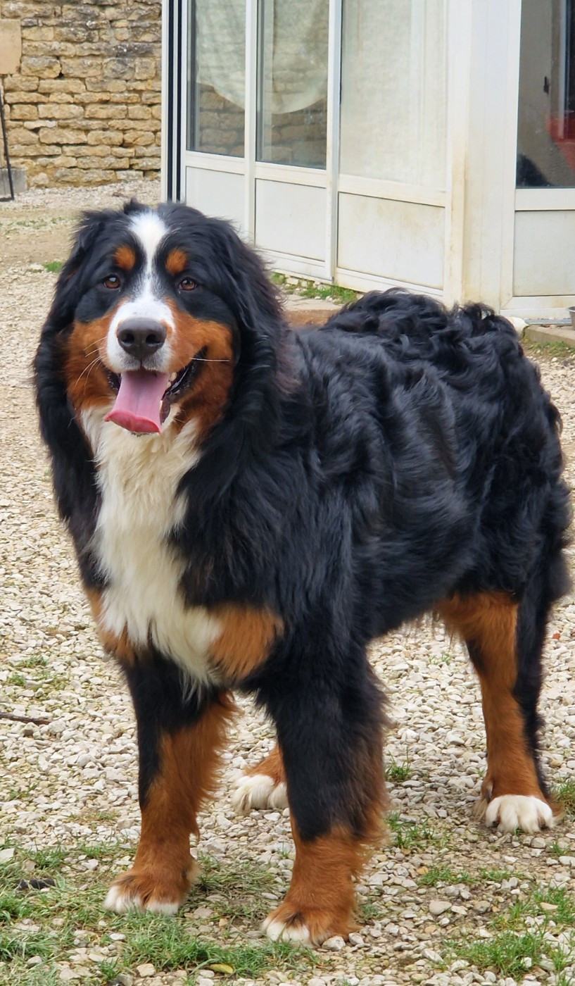 Vitamine (Sans Affixe)