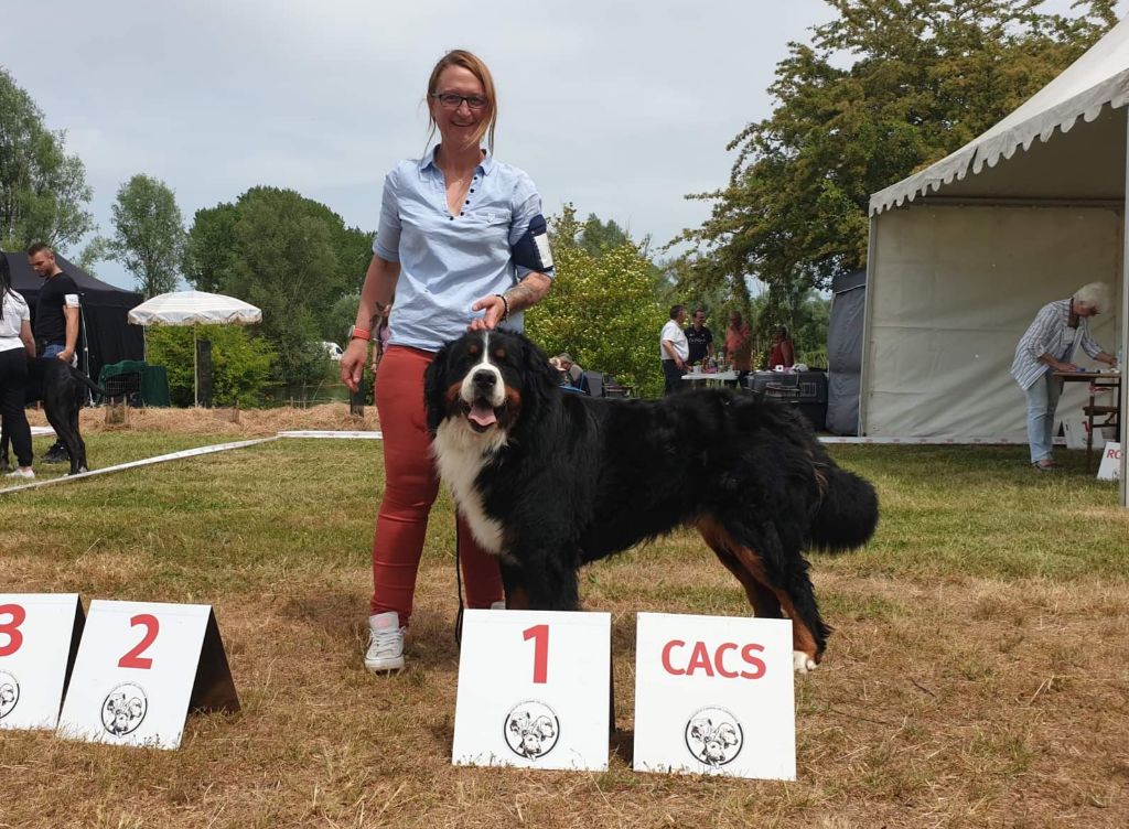 La vallée de l'echiquier - Résultats de l exposition la Madine