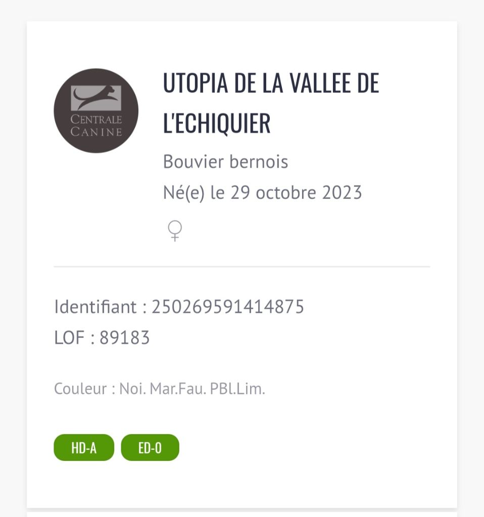 La vallée de l'echiquier - Resultat de dysplasie