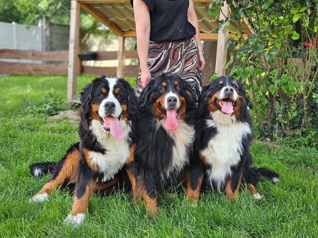 La vallée de l'echiquier - Photo de famille