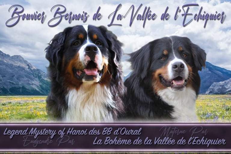 La vallée de l'echiquier - Prochaine portée